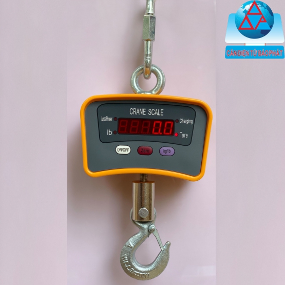 OCS Hook scale