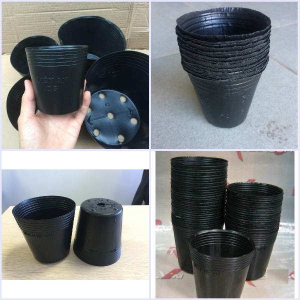 Nursery pot