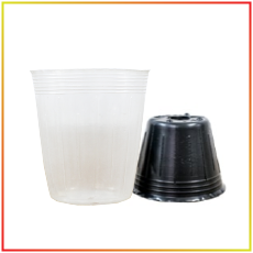 Nursery pot