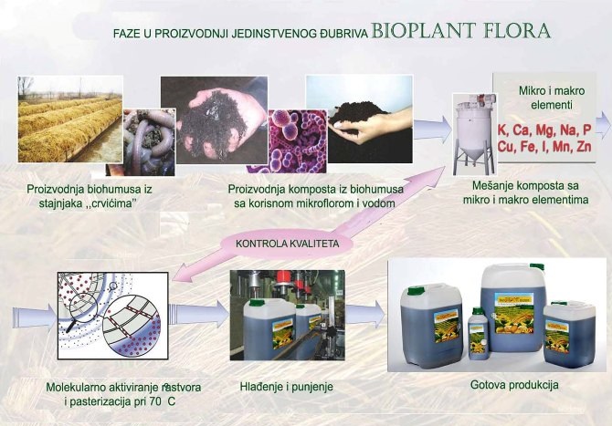 Bio fertilizers