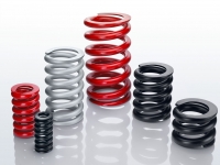 Compression spring