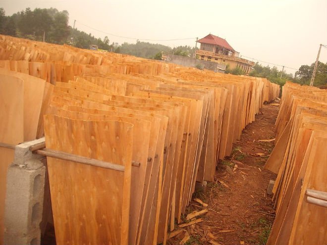 Veneer