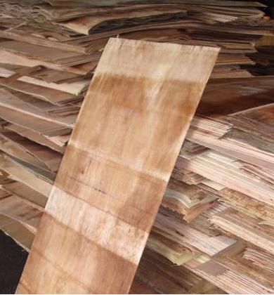 Veneer