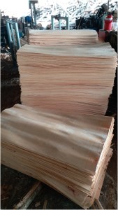 Wood Veneer