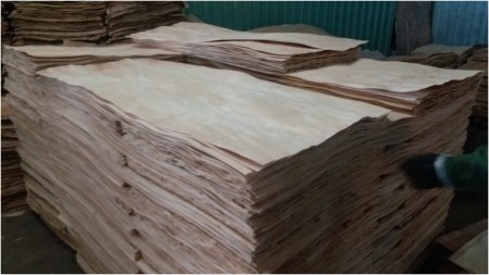Wood Veneer