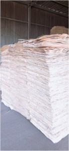 Wood Veneer