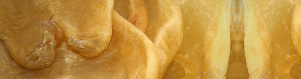 Fish skin