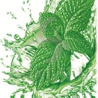 Mint flavor