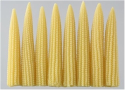 Stomach corn
