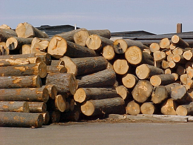 Wood manufacturing