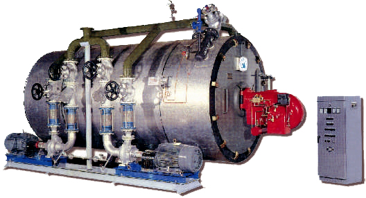 Coal fired thermal oil heat boiler