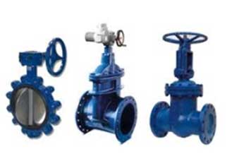 Boiler valve