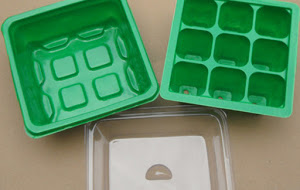 Vegetable growing tray
