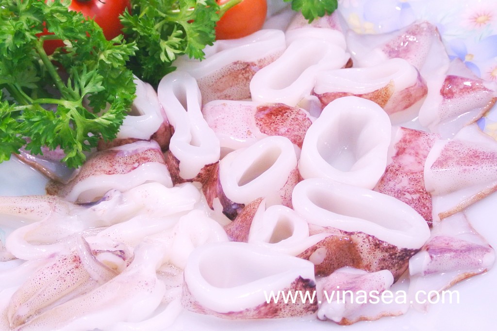 Squid