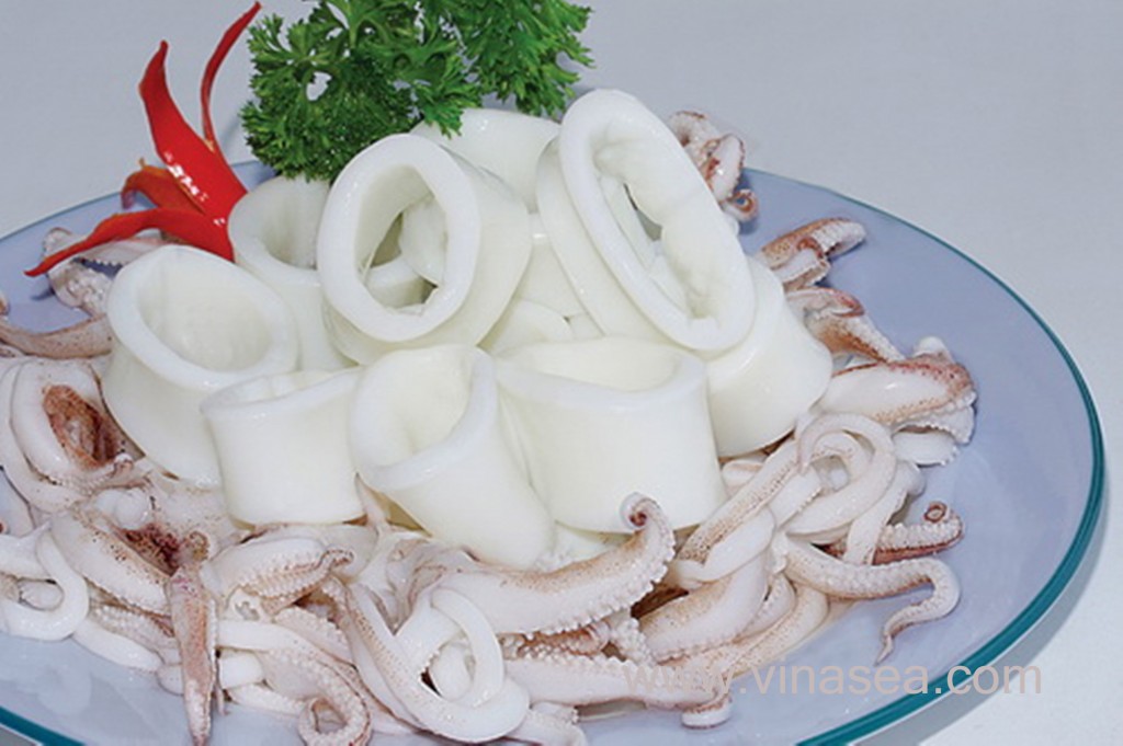 Squid