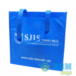 Non-woven bag