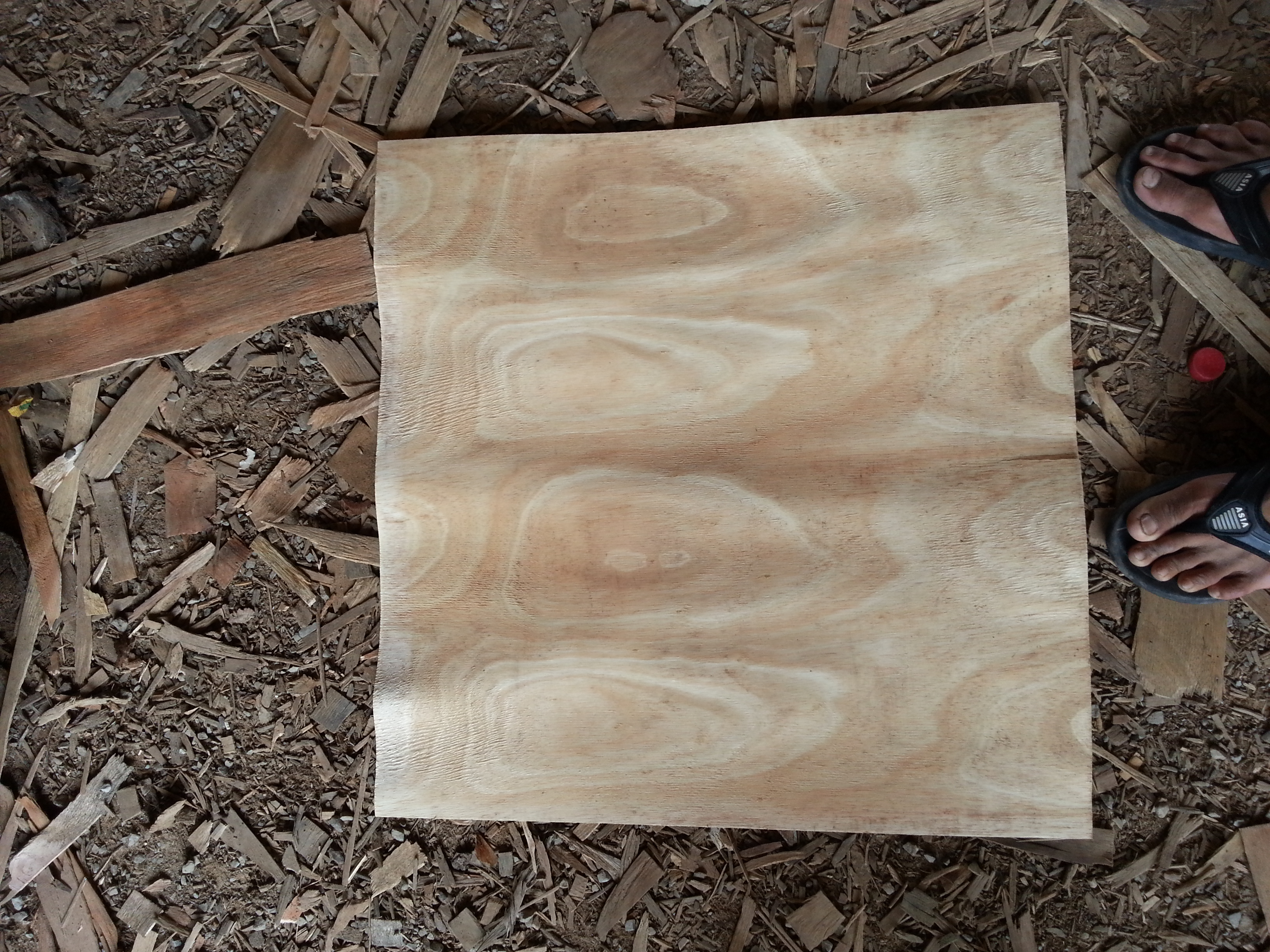 Veneer