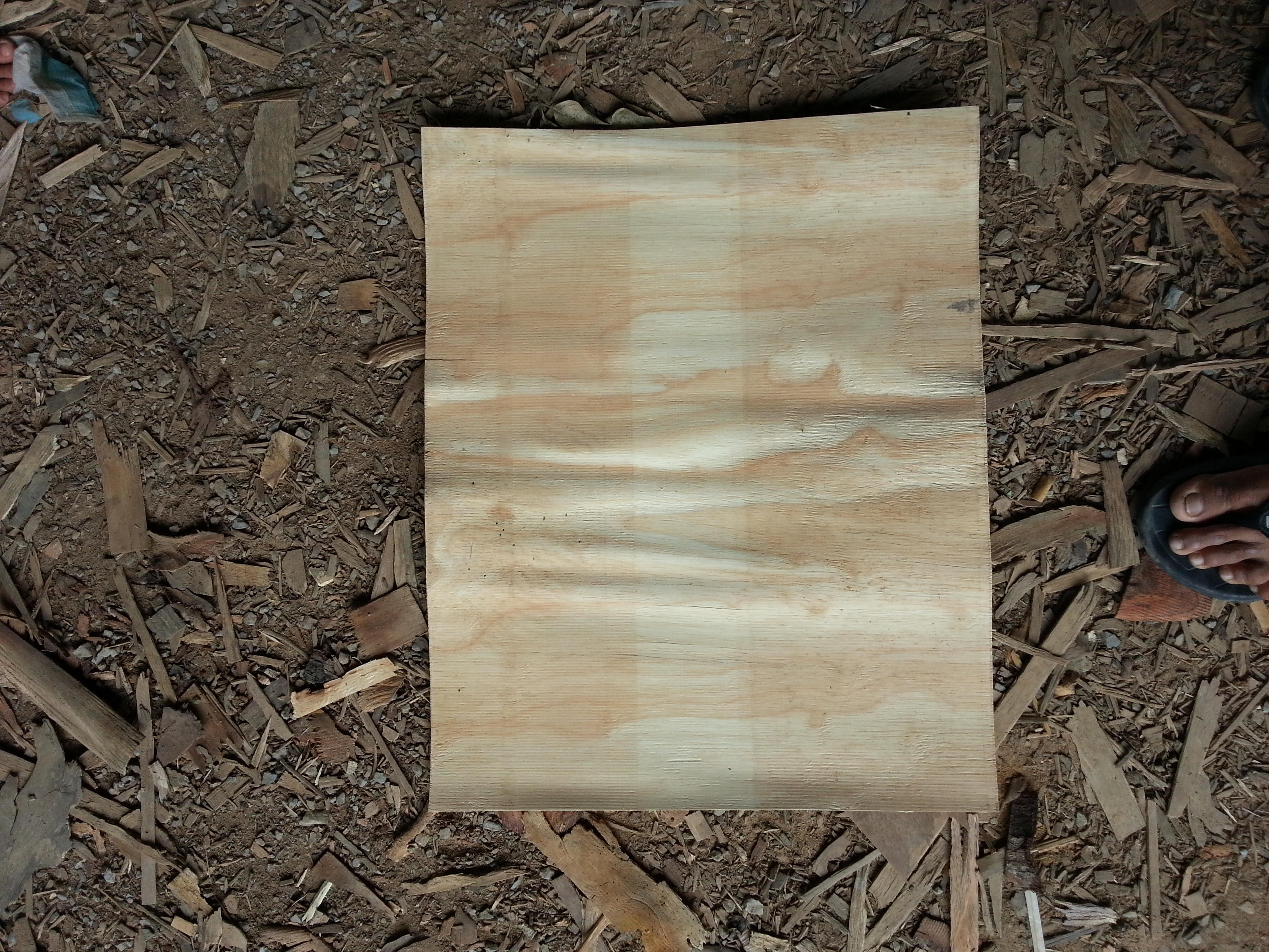 Veneer