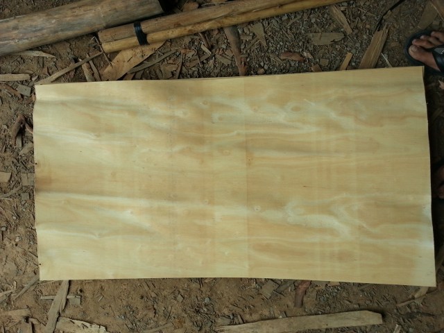 Veneer