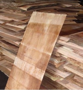 Veneer
