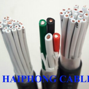 Control cable