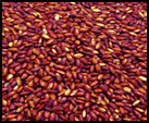 Red yeast rice