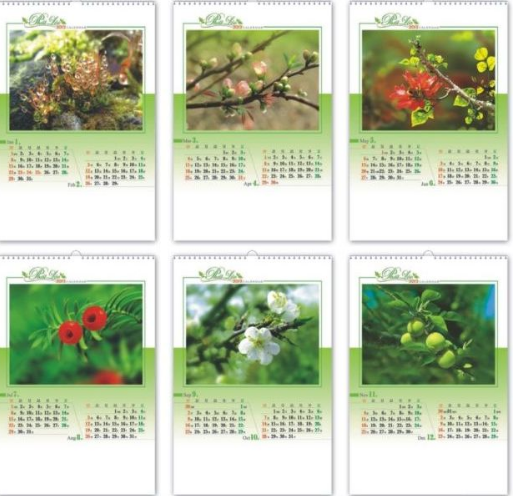 Calender printing
