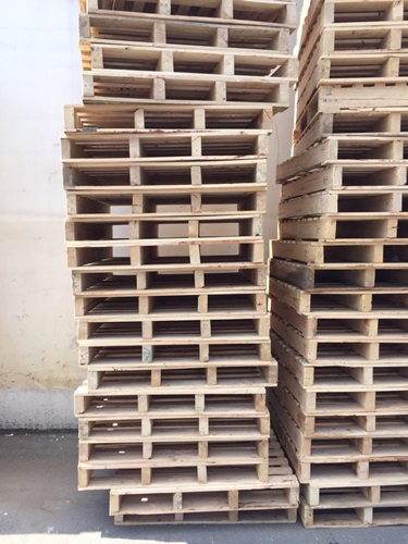 Used Wood Pallet