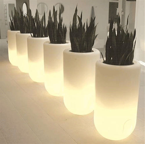 Pots & Planters