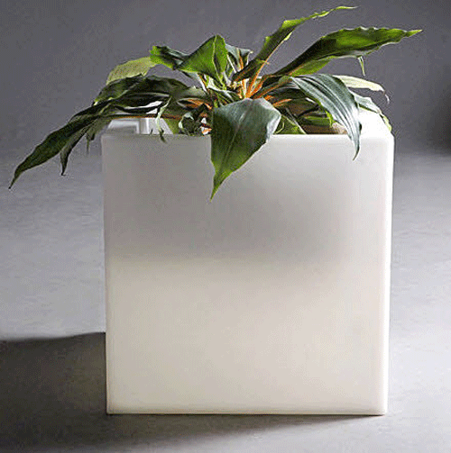 Pots & Planters