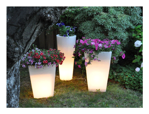 Pots & Planters