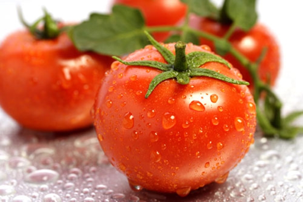 Tomatoes