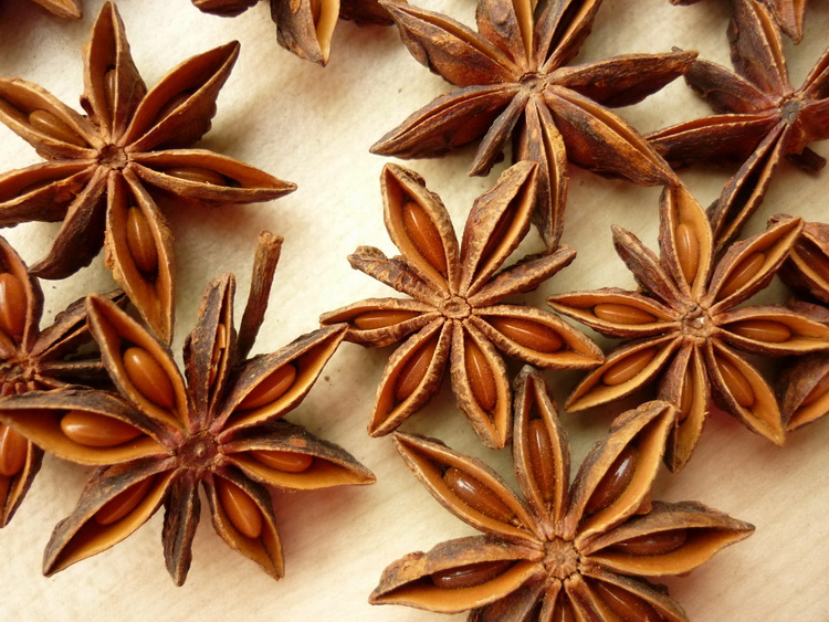 Aniseed