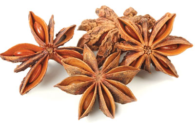 Aniseed
