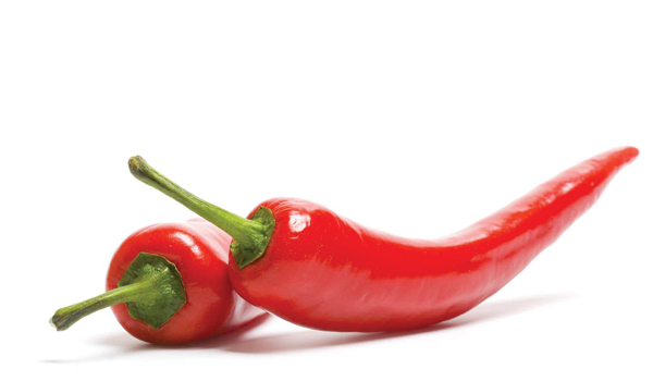 Chilli