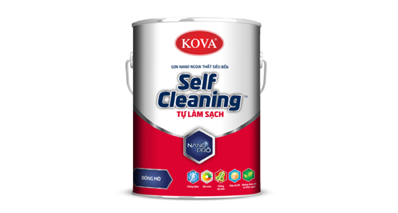 Self-cleaning paint