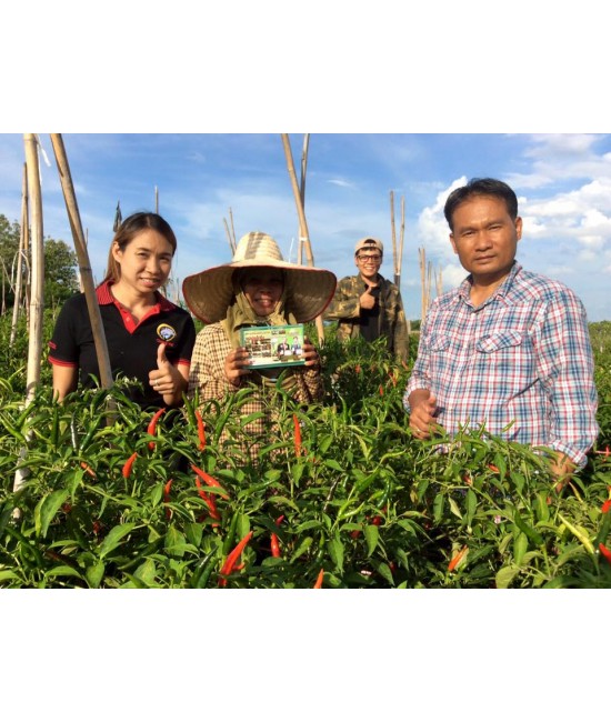 Thailand organic fertilizers