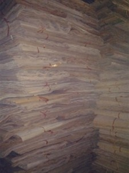 Eucaluptus veneer