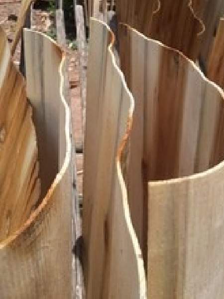 Acacia core veneer