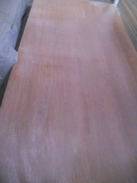 Plywood with Phenol glue