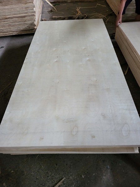 Plywood grade B/C