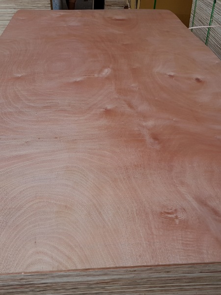Commercial plywood grade A/B