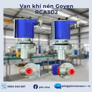 Goyen pulse valve