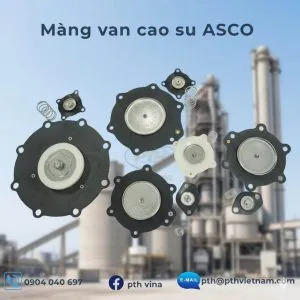 Rubber membrane valve