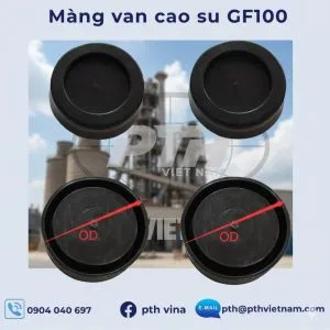 Rubber membrane valve