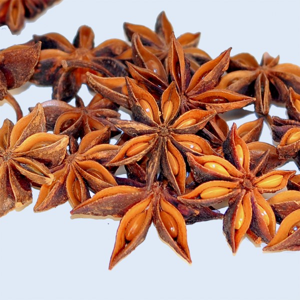 star aniseed
