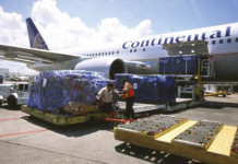 Air Transportation