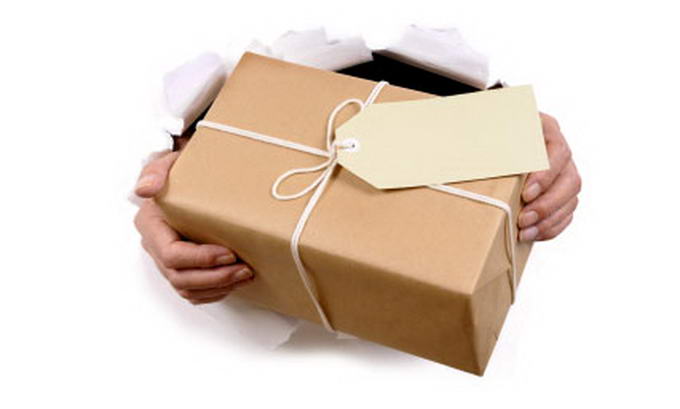 Express delivery service