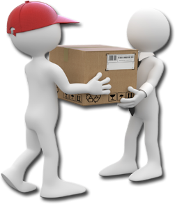 Express delivery service