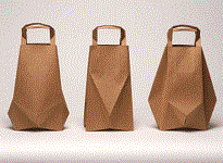 Paper Bag